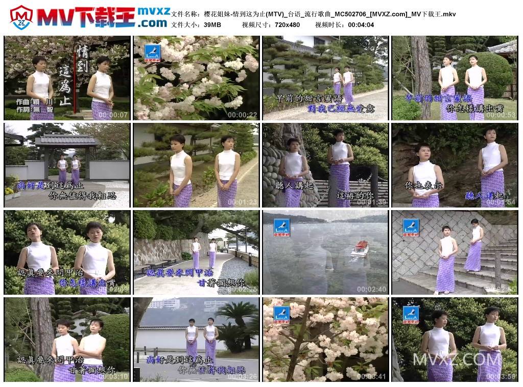 樱花姐妹-情到这为止(MTV)_台语_流行歌曲_MC502706
